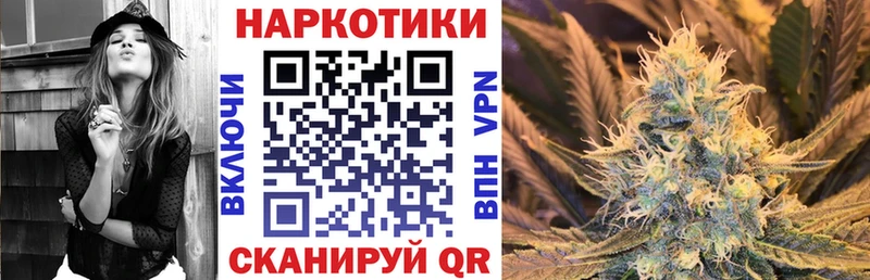 Наркошоп купить Кокаин  LSD-25  Псилоцибиновые грибы  Героин  Гашиш  Меф  Альфа ПВП  МАРИХУАНА  Нерюнгри