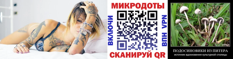 Купить где  Нерюнгри  Галлюциногенные грибы Psilocybe 